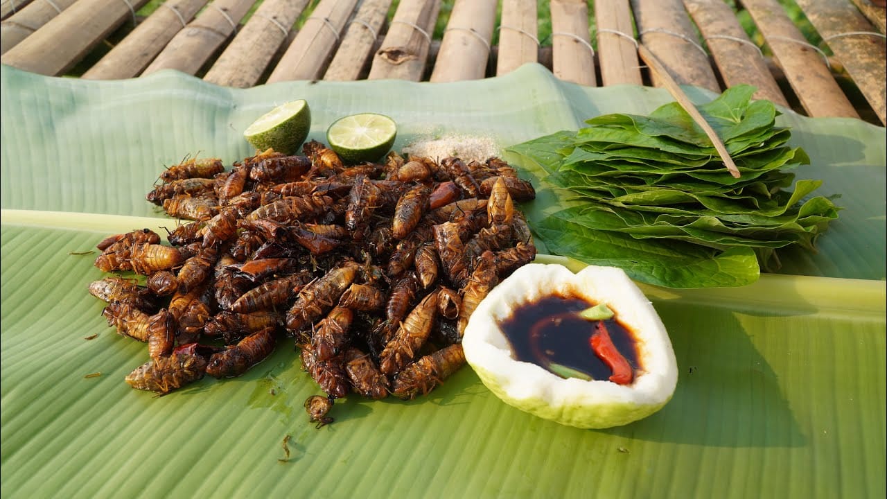 Khám Phá Đặc Sản Bình Phước: Nét Đẹp Ẩm Thực Đông Nam Bộ