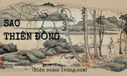 Sao Thiên Đồng: Phân Tích Chi Tiết và Ứng Dụng