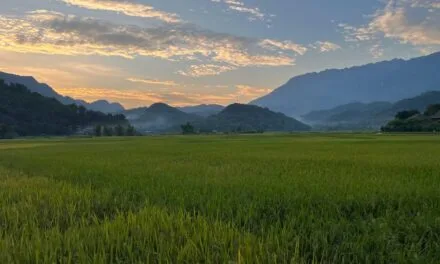 Cẩm Nang Du Lịch Mai Châu Hòa Bình Chi Tiết Từ A – Z