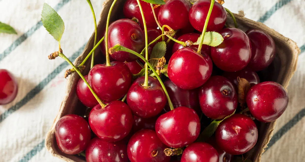 8 Công dụng của cherry đối với sức khỏe mà bạn cần biết