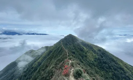 Du Lịch Lai Châu: Khám Phá 10 Điểm Đến Núi Rừng Hùng Vĩ