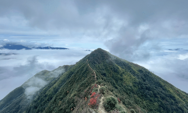 Du Lịch Lai Châu: Khám Phá 10 Điểm Đến Núi Rừng Hùng Vĩ