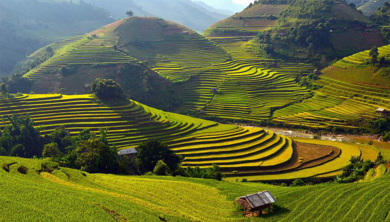 Kinh nghiệm du lịch Sapa 2025: Cẩm nang A-Z cho chuyến đi trọn vẹn Kinh nghiệm du lịch Sapa 2025: Cẩm nang A-Z cho chuyến đi trọn vẹn