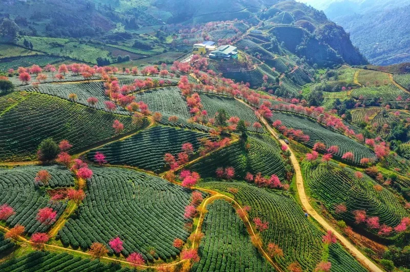 Kinh nghiệm du lịch Sapa 2025: Cẩm nang A-Z cho chuyến đi trọn vẹn Kinh nghiệm du lịch Sapa 2025: Cẩm nang A-Z cho chuyến đi trọn vẹn