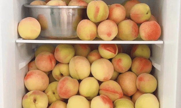 5 Loại Thực Phẩm Không Nên Bảo Quản Trong Tủ Lạnh – Càng Để Lâu Càng Dễ Hỏng