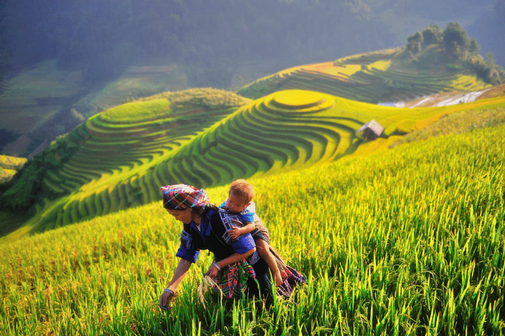 Du Lịch Mù Cang Chải: Giải Mã Tại Sao Đây Là Điểm Đến 'Hot' Nhất Năm Nay Du Lịch Mù Cang Chải: Giải Mã Tại Sao Đây Là Điểm Đến 'Hot' Nhất Năm Nay