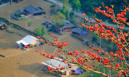 Du Lịch Hà Giang Mùa Nào Đẹp Nhất? 5 Thời Điểm Không Thể Bỏ Qua!