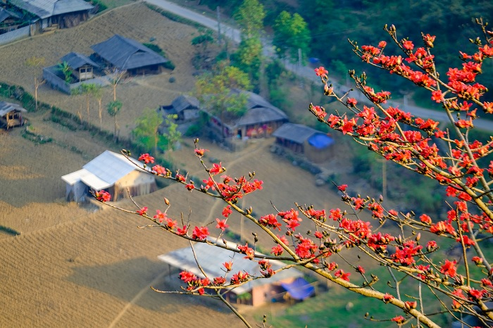 Du Lịch Hà Giang Mùa Nào Đẹp Nhất? 5 Thời Điểm Không Thể Bỏ Qua! Du Lịch Hà Giang Mùa Nào Đẹp Nhất? 5 Thời Điểm Không Thể Bỏ Qua!