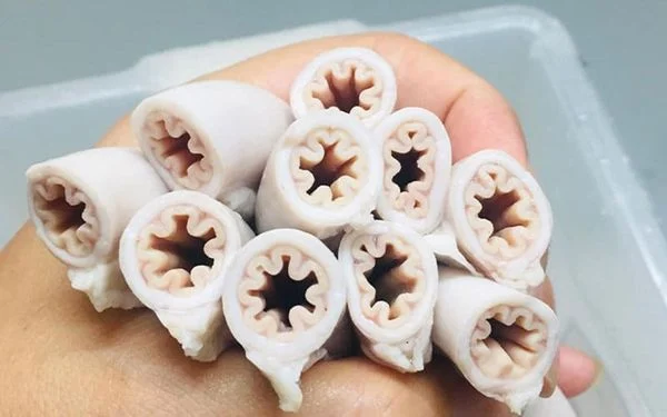 Lòng Se Điếu Là Gì?: Vì Sao Lại Là Đặc Sản Quý Hiếm Và Đắt Đỏ? Lòng Se Điếu Là Gì?: Vì Sao Lại Là Đặc Sản Quý Hiếm Và Đắt Đỏ?