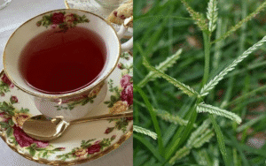 Cỏ Mần Trầu: “Thần Dược” Tự Nhiên Cho Mái Tóc Dày Khỏe Và Cơ Thể Khỏe Mạnh