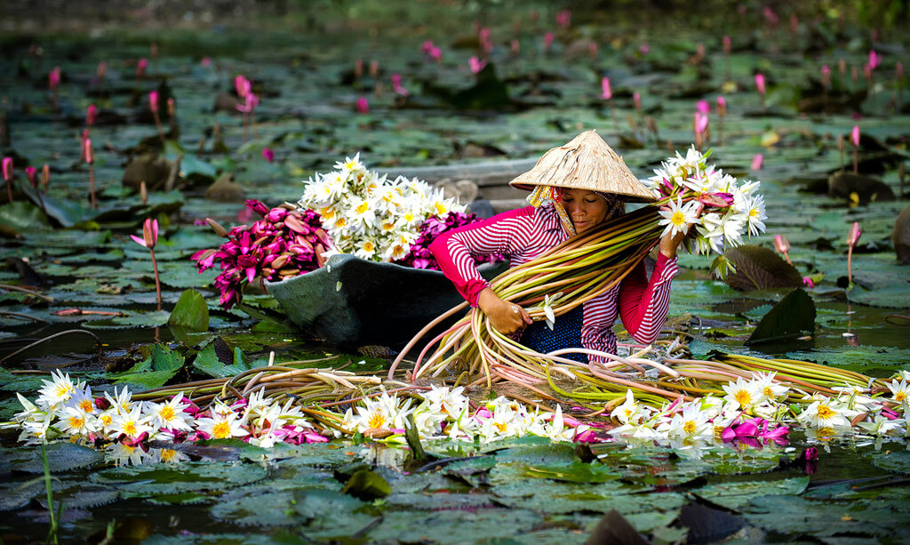 Cần Thơ mùa nào đẹp nhất? Kinh nghiệm du lịch & đặc sản theo mùa Cần Thơ mùa nào đẹp nhất? Kinh nghiệm du lịch & đặc sản theo mùa