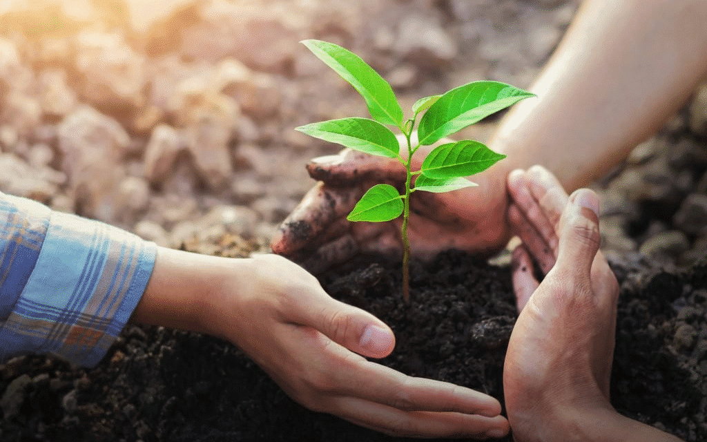 Gieo Hạt Giống Tích Cực: Chìa Khóa Vàng Cho Cuộc Sống Thịnh Vượng