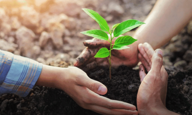 Gieo Hạt Giống Tích Cực: Chìa Khóa Vàng Cho Cuộc Sống Thịnh Vượng