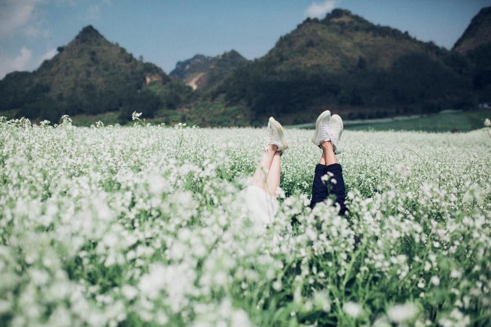 Du Lịch Mộc Châu Mùa Hoa Cải: Khám Phá Vẻ Đẹp Tuyệt Vời Của Cao Nguyên Du Lịch Mộc Châu Mùa Hoa Cải: Khám Phá Vẻ Đẹp Tuyệt Vời Của Cao Nguyên