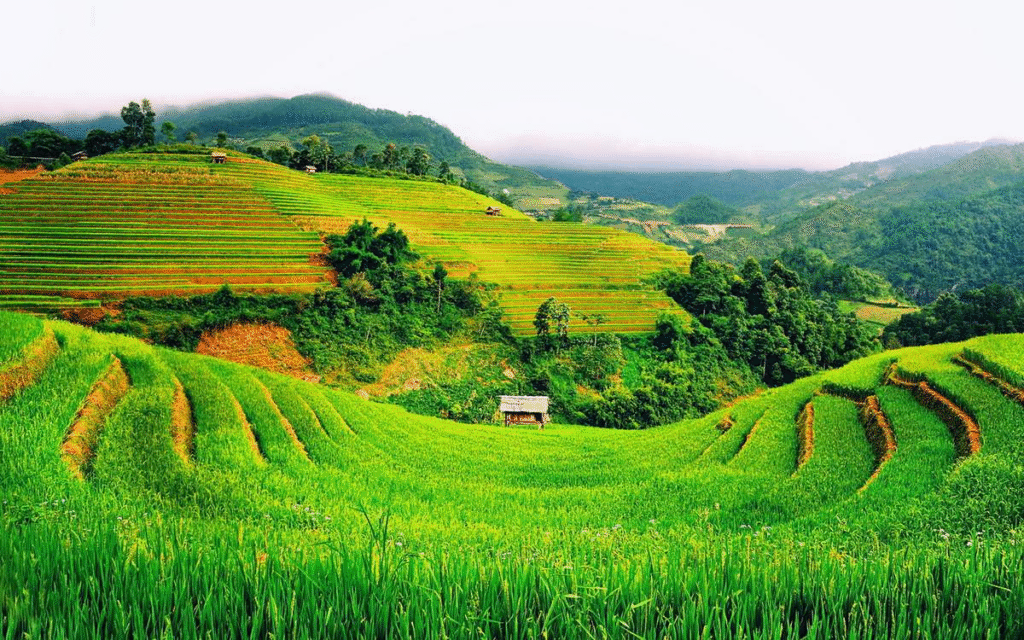 8 Trải Nghiệm Lào Cai Khiến Bạn Mê Mẩn: Khám Phá Thiên Đường Tây Bắc! 7. Trekking khám phá vẻ đẹp hoang sơ của thung lũng Tả Giàng Phình