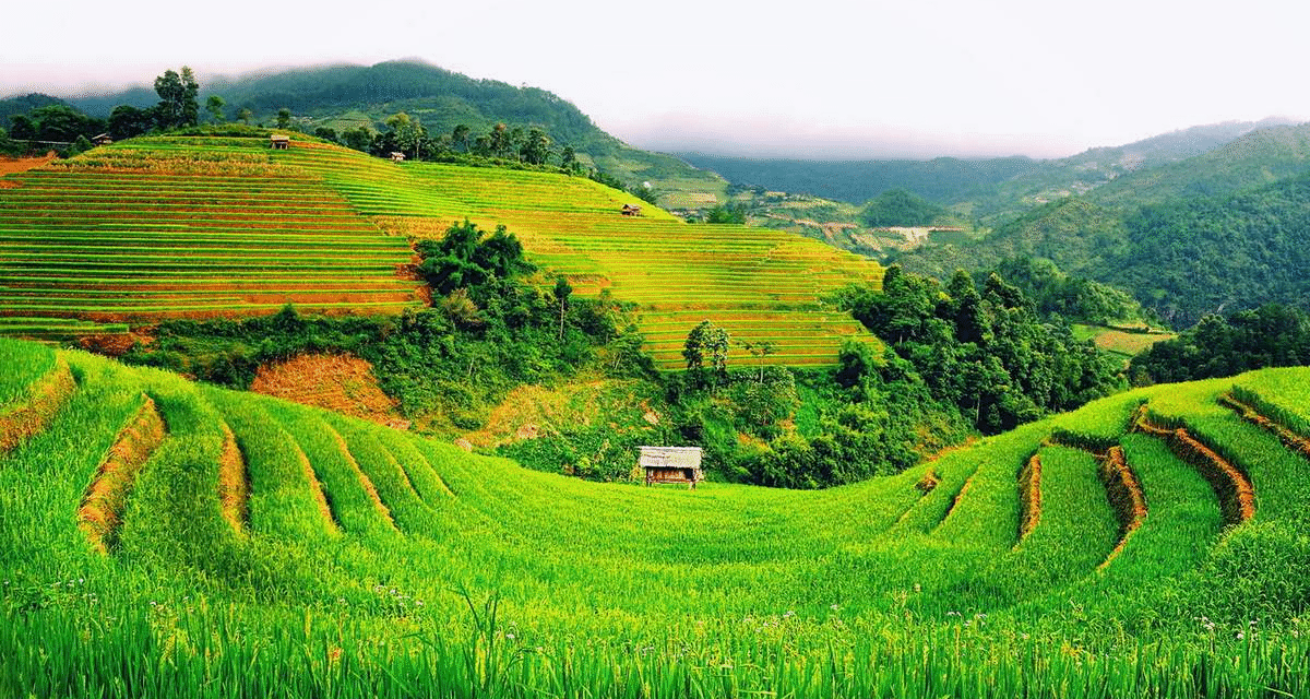 8 Trải Nghiệm Lào Cai Khiến Bạn Mê Mẩn: Khám Phá Thiên Đường Tây Bắc!