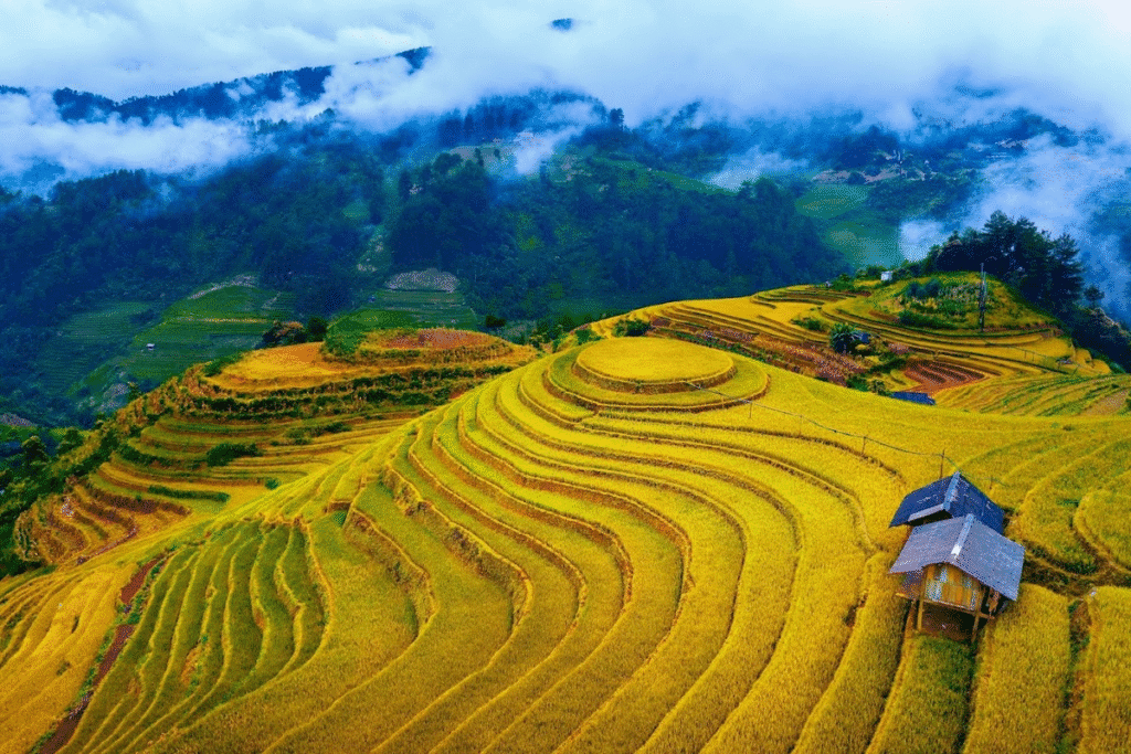 5 Nơi Trốn Nóng Tuyệt Vời Giữa Thiên Nhiên Mùa Hè Này? 1. Sapa - Lào Cai: Thiên đường mây trắng và ruộng bậc thang