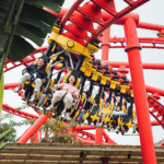 Chinh Phục Công Viên Rồng Hạ Long Trong 1 Ngày: Hướng Dẫn A – Z