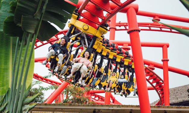 Chinh Phục Công Viên Rồng Hạ Long Trong 1 Ngày: Hướng Dẫn A – Z