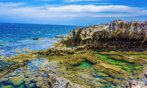 Vịnh Vĩnh Hy: Cẩm nang du lịch 2025