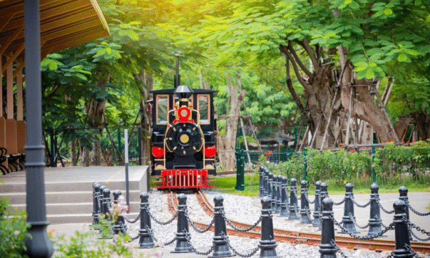 Khám phá ngay 10 trải nghiệm đỉnh cao tại Công viên Rồng Hạ Long!