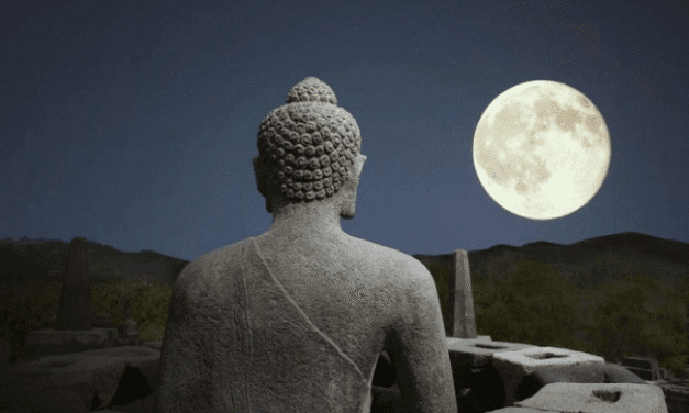 Mệnh Thiên Định, Số Kiếp Tự Chọn: Khám Phá Bí Ẩn Vận Mệnh Qua Lá Số Tử Vi