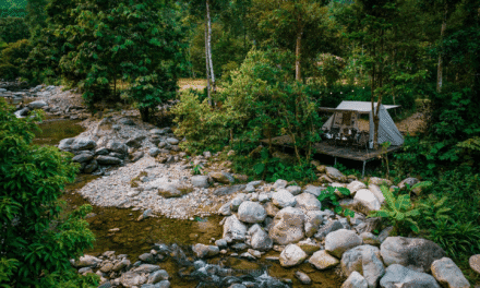 Hachi Camping Thái Nguyên: Trốn ồn ào, tìm bình yên giữa thiên nhiên?