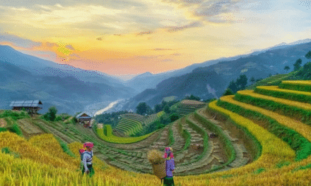 7 Điểm đến Tuyệt Vời Cho Chuyến Du Lịch Tháng 8 Của Bạn