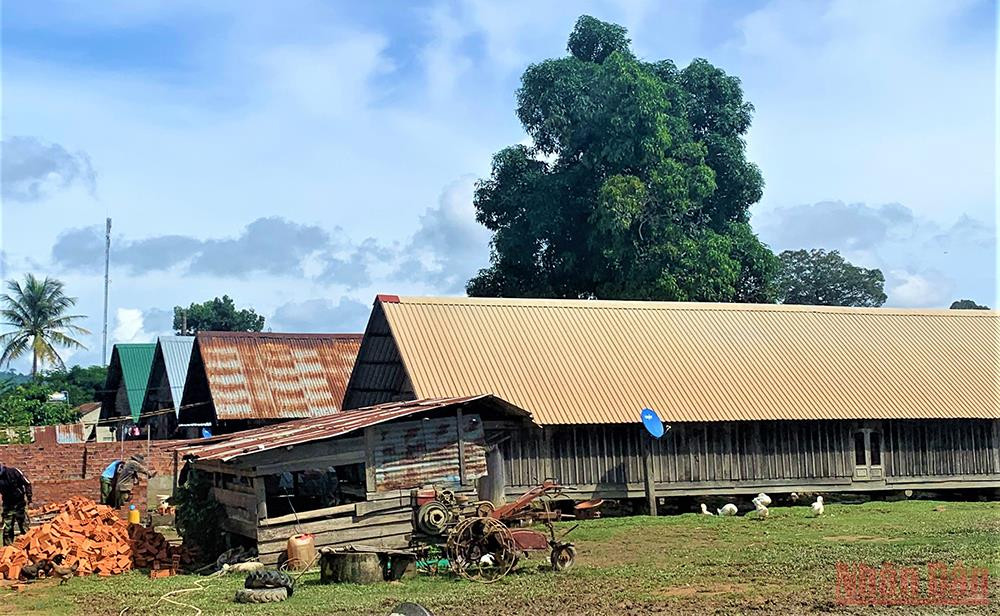 Khám phá Đắk Lắk: Bình yên giữa đại ngàn Tây Nguyên Buôn cổ M'Liêng: Chạm vào hồn cốt văn hoá Tây Nguyên