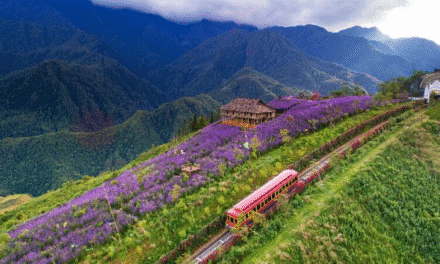 2 Ngày 1 Đêm Sapa: Cẩm Nang Du Lịch Hoàn Hảo