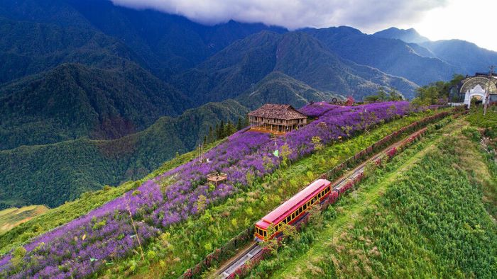 2 Ngày 1 Đêm Sapa: Cẩm Nang Du Lịch Hoàn Hảo