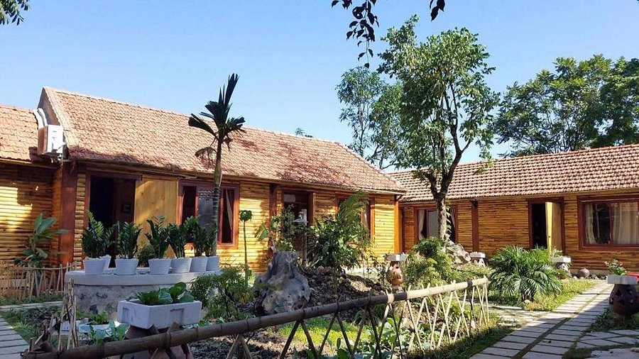Tam Cốc Ninh Bình: 12 Nhà Hàng Ngon Hút Hồn Du Khách Phải Thử! 1. Nhà hàng Đức Linh: Hương vị đồng quê giữa lòng Tam Cốc