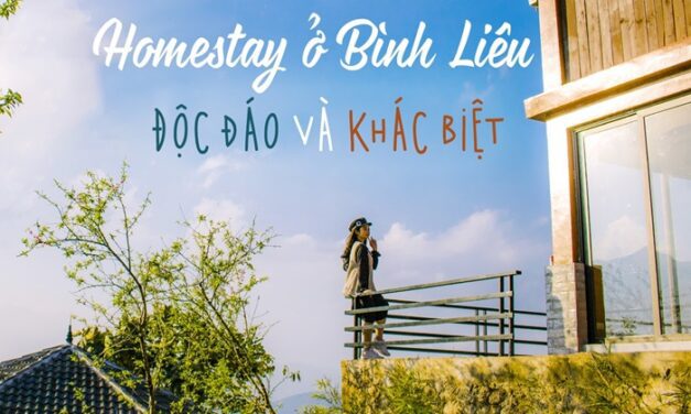 Khám Phá Homestay Bình Liêu Quảng Ninh Đẹp Ngất Ngây: Chọn Ngay Chốn Dừng Chân Lý Tưởng!