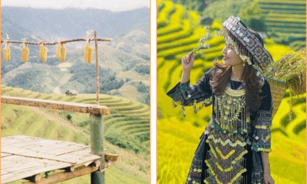 Chán Sapa Đông Đúc? Khám Phá Khim Nọi Yên Bái – Thiên Đường Bình Yên Của Người Thái Ít Ai Biết!