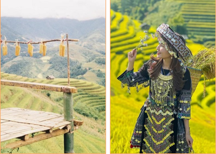 Chán Sapa Đông Đúc? Khám Phá Khim Nọi Yên Bái – Thiên Đường Bình Yên Của Người Thái Ít Ai Biết!