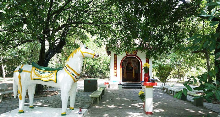 Chinh phục Leo núi Lò Vôi Côn Đảo: Nơi biển, núi và trời gặp gỡ tạo nên bức tranh huyền ảo!