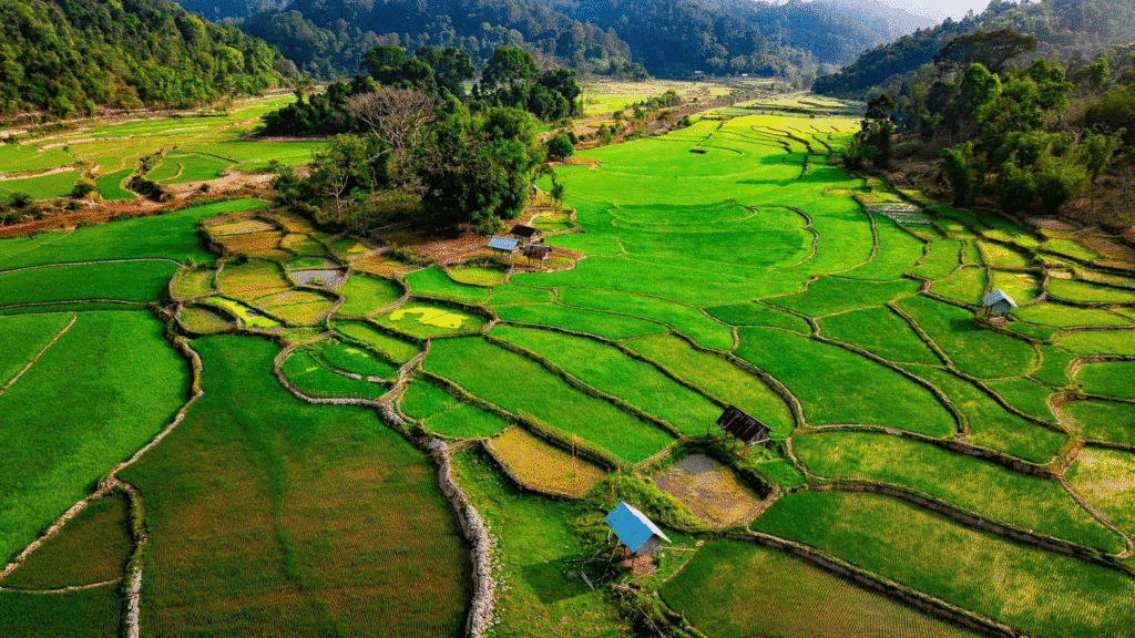 Top Các Tọa Độ Săn Mây Tây Nguyên: Chạm Tay Vào Thiên Đường Có Thật Ngay Trong Tầm Mắt! Top Các Tọa Độ Săn Mây Tây Nguyên: Chạm Tay Vào Thiên Đường Có Thật Ngay Trong Tầm Mắt!