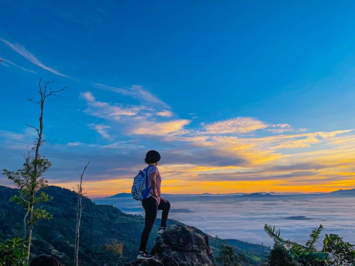 Top Các Tọa Độ Săn Mây Tây Nguyên: Chạm Tay Vào Thiên Đường Có Thật Ngay Trong Tầm Mắt! Top Các Tọa Độ Săn Mây Tây Nguyên: Chạm Tay Vào Thiên Đường Có Thật Ngay Trong Tầm Mắt!