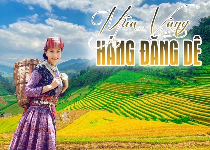 MÙA VÀNG Háng Đăng Dê Mù Cang Chải: Đẹp đến mức cổ tích cũng phải Ghen Tị!