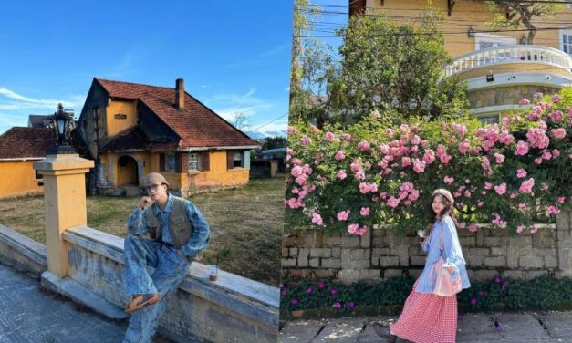 Top 7 Góc Sống Ảo ‘Đẹp Lịm Tim’ Ở Đường Cô Giang Đà Lạt Nhất Định Phải Ghé!