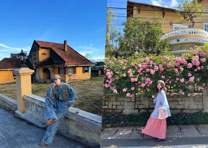 Top 7 Góc Sống Ảo ‘Đẹp Lịm Tim’ Ở Đường Cô Giang Đà Lạt Nhất Định Phải Ghé!