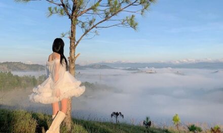 Top Các Tọa Độ Săn Mây Tây Nguyên: Chạm Tay Vào Thiên Đường Có Thật Ngay Trong Tầm Mắt!