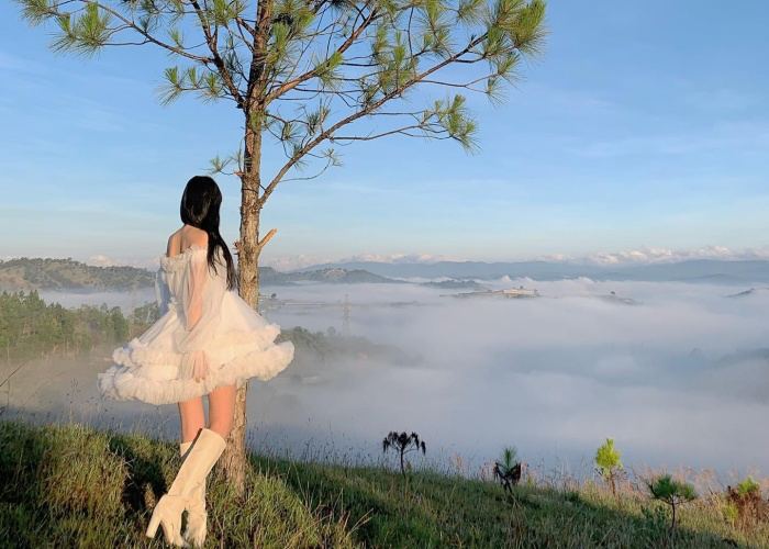 Top Các Tọa Độ Săn Mây Tây Nguyên: Chạm Tay Vào Thiên Đường Có Thật Ngay Trong Tầm Mắt!