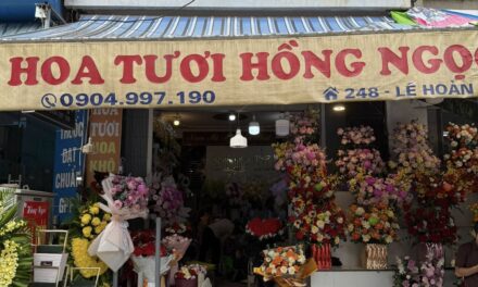 Điện Hoa Hồng Ngọc – Cửa hàng hoa tươi uy tín tại Thanh Hóa – 1VoNg Verified