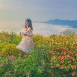 Hoà Bình mùa lúa chín tháng 11 – vẻ đẹp mùa vàng Tây Bắc