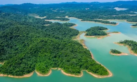 Khu du lịch Bến En Thanh Hóa – mọi điều cần biết khi đi