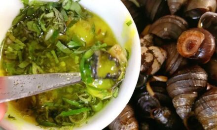 Ốc chấm chẻo Thanh Hóa món gây nghiện với nước chẻo đậm đà