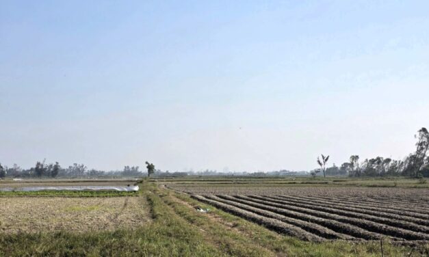 Quy hoạch trung tâm hành chính: đất tăng giá ra sao?