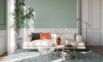 Sửa nhà phản tác dụng: 7 sai lầm khiến giá trị bất động sản giảm