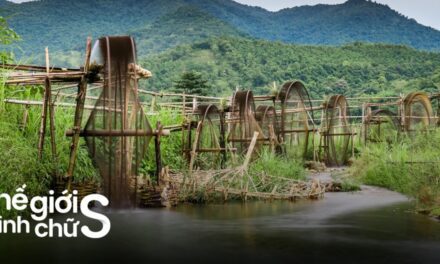 Kinh nghiệm du lịch Thanh Hóa: cẩm nang tự túc chi tiết